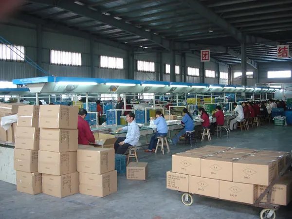 Packing line preparing export cartons