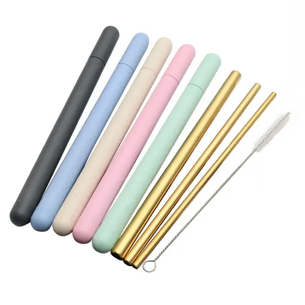 Reusable Stainless Steel Straw Set with Case