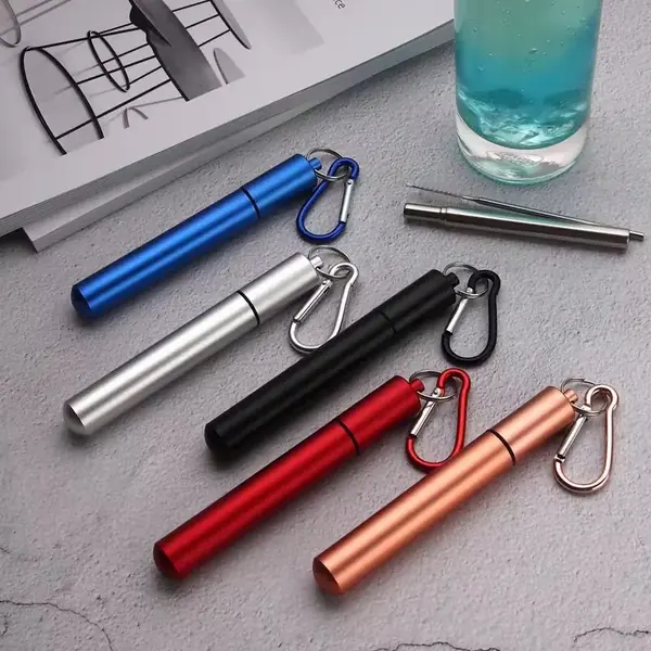 Telescopic Stainless Steel Straws — Travel Set